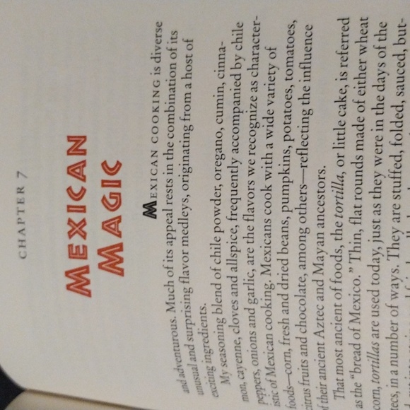 The Instant Ethnic Cook, An Herb and Spice Blend Cookbook - Picture 8 of 13